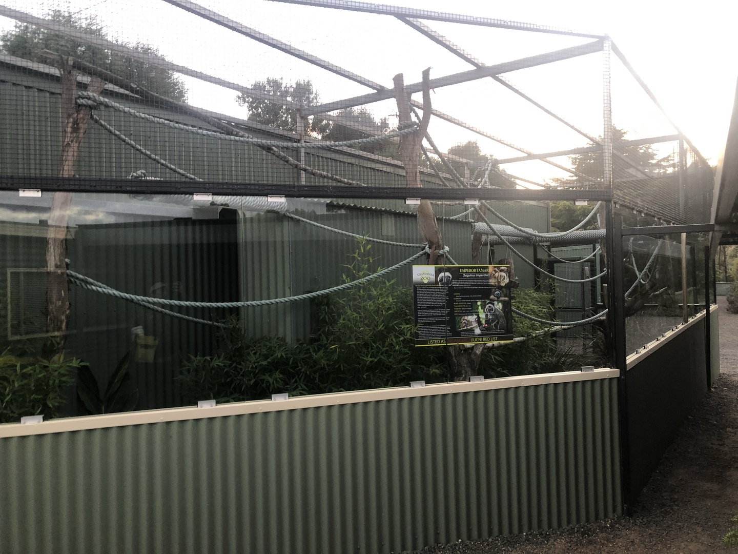 Emperor Tamarin enclosure