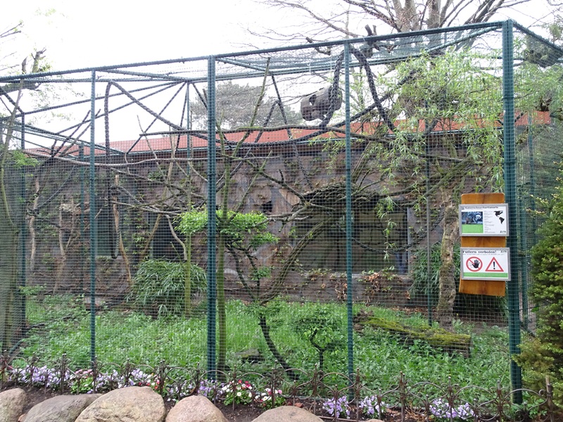 Emperor tamarin enclosure