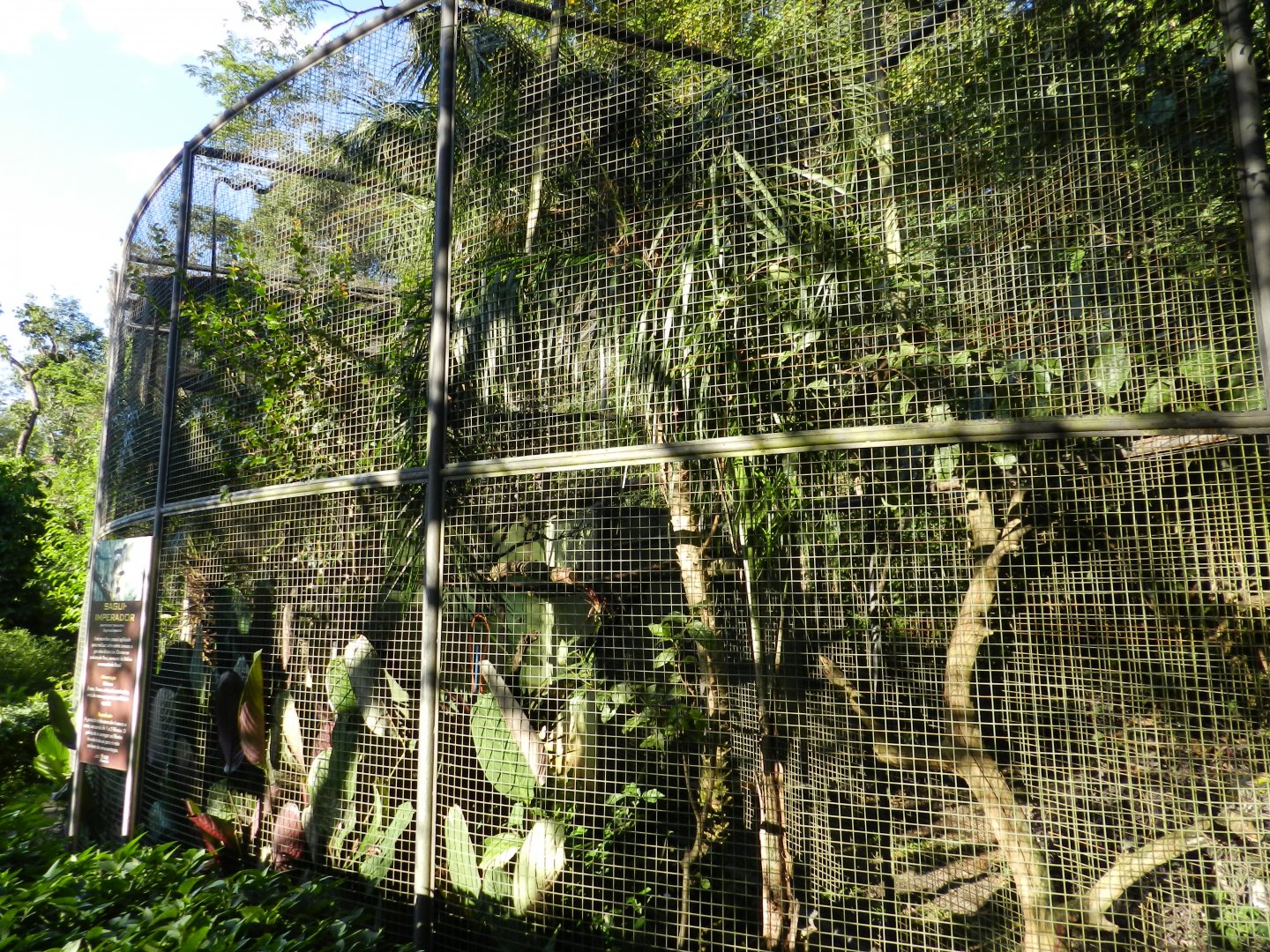 Emperor tamarin exhibit - Belo Horizonte zoo
