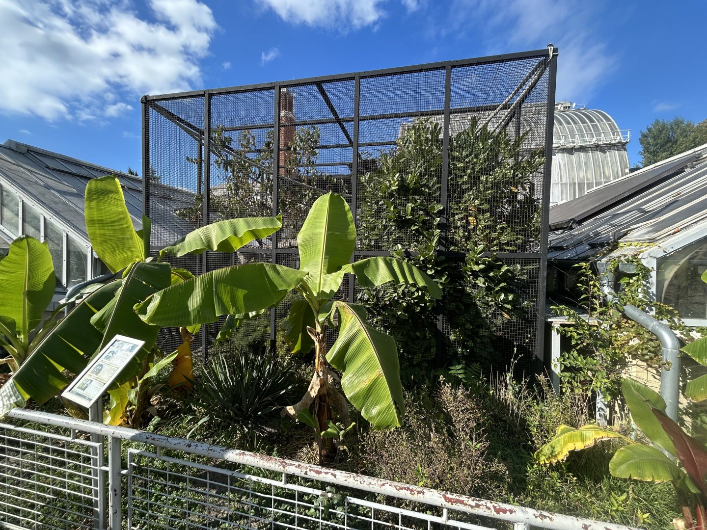 Emperor Tamarin Exhibit - Palm House