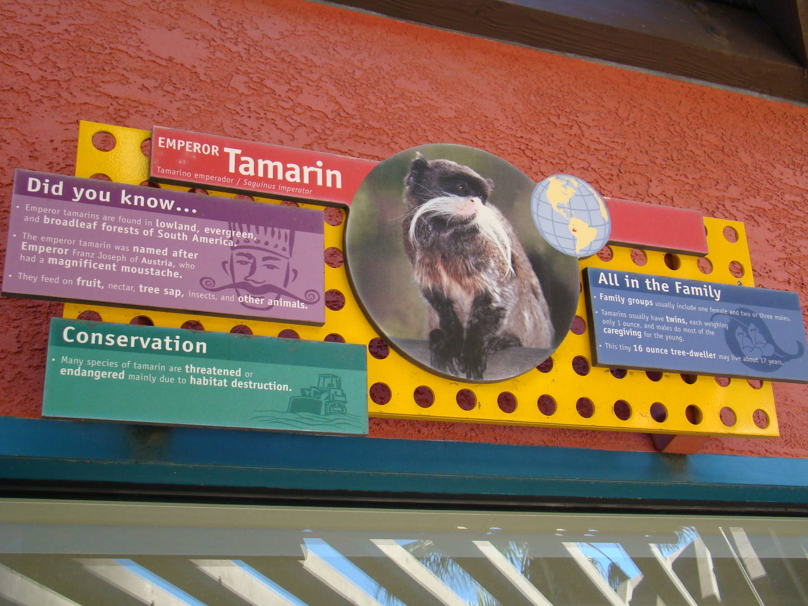 Emperor Tamarin exhibit sign
