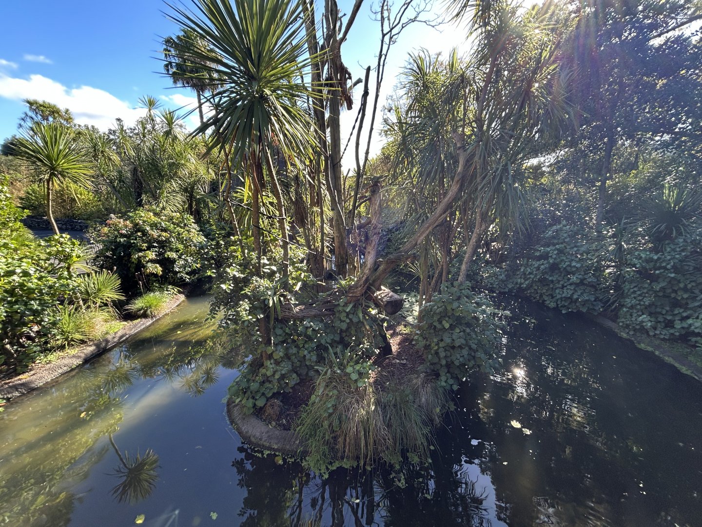 Emperor Tamarin Exhibit - South American Rainforest Track