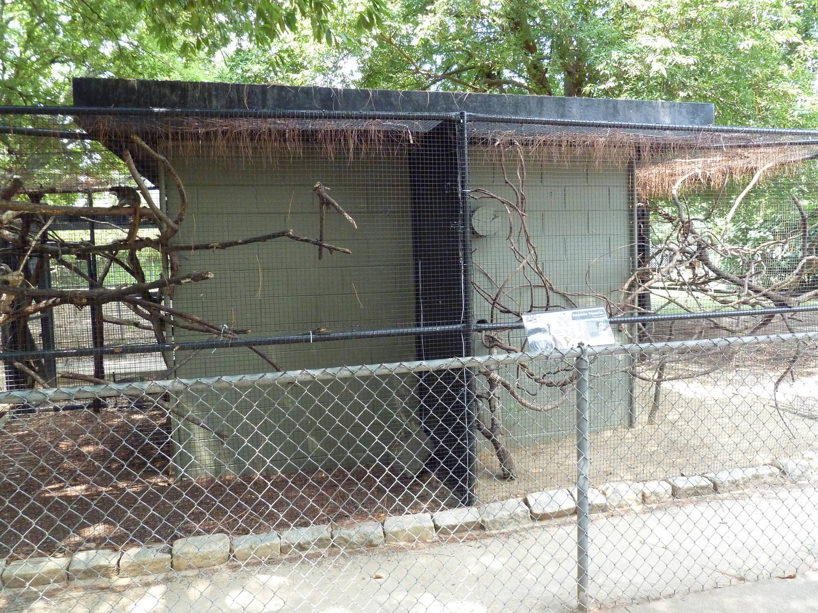 Emperor Tamarin Exhibit