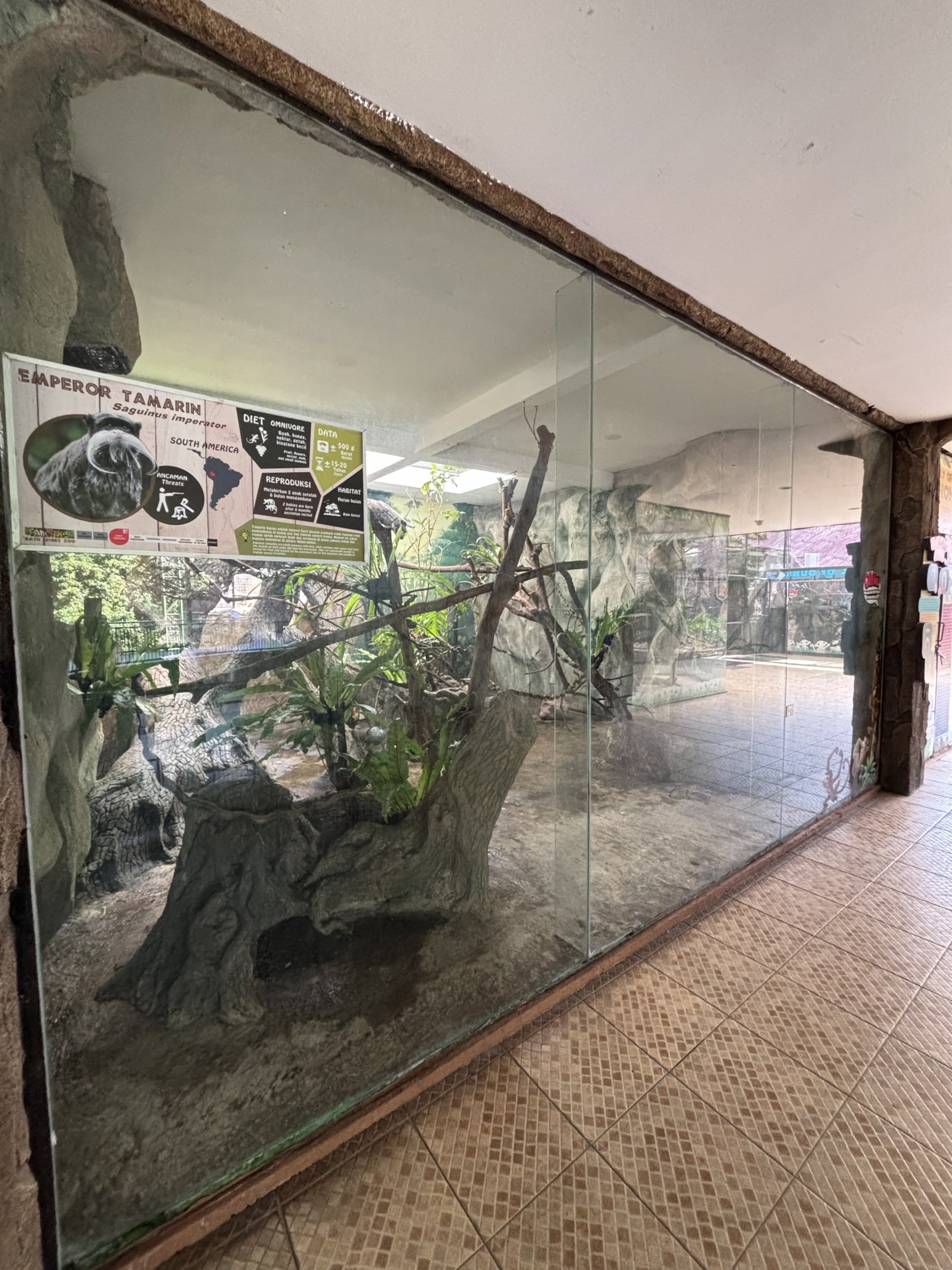 Emperor Tamarin Exhibit