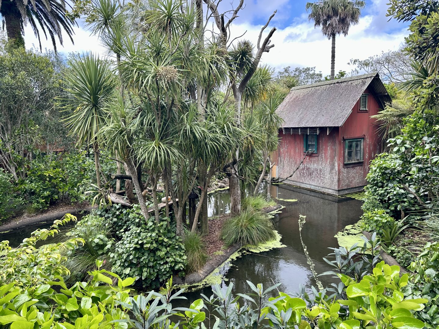 Emperor Tamarin Exhibit