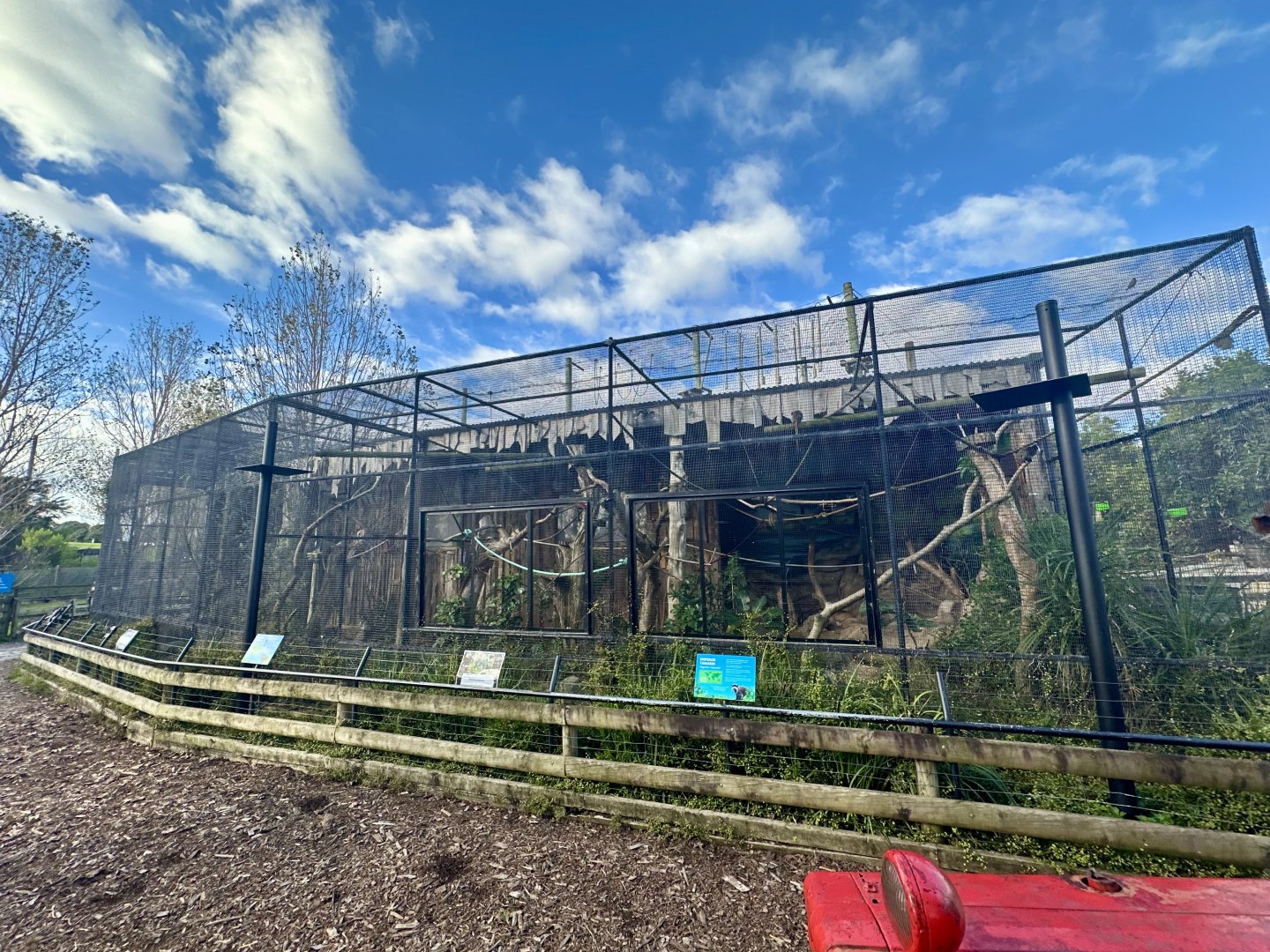 Emperor Tamarin Exhibit