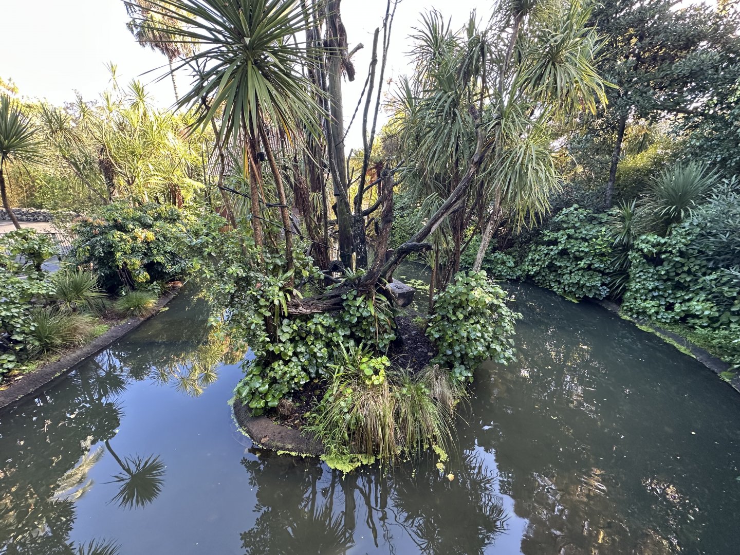 Emperor Tamarin Exhibit