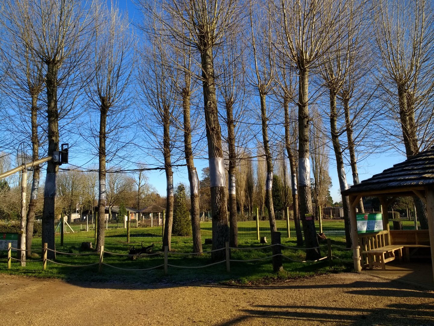 Emperor Tamarin free range area