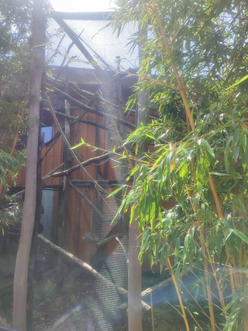 Emperor tamarin, Goeldi's marmoset, Southern tamandua and Guianan bearded saki second enclosure - Artenschutzzentrum Grasleben