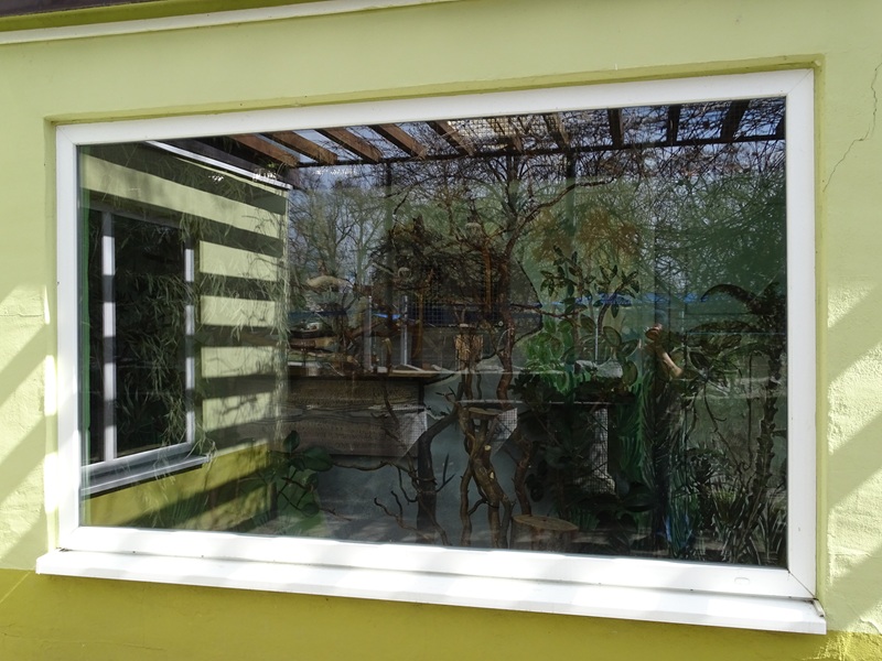 Emperor tamarin indoor enclosure