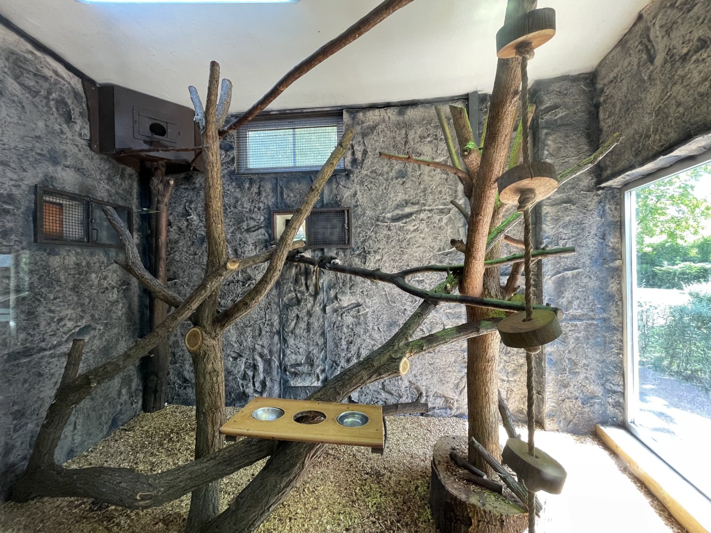 Emperor tamarin indoor exhibit