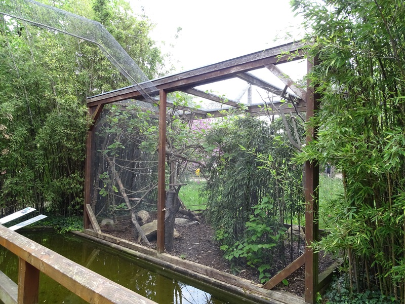 Emperor tamarin outdoor enclosure