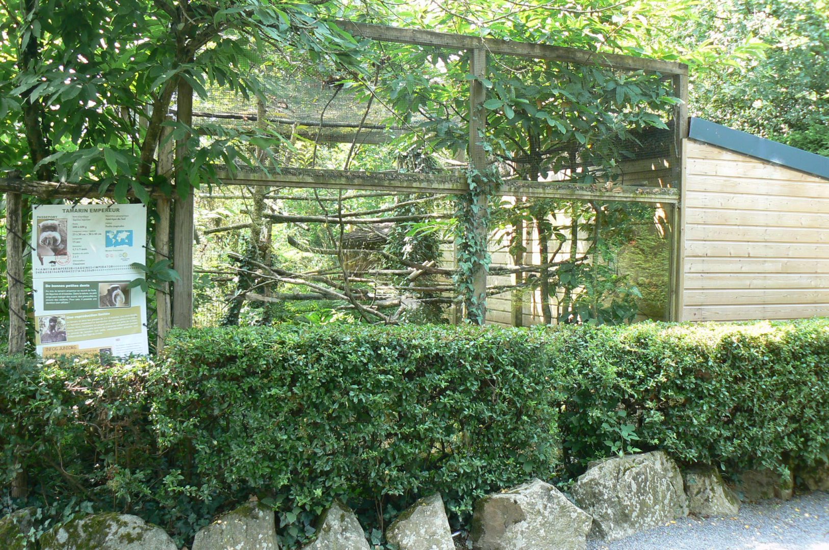 Emperor tamarin outdoor exhibit