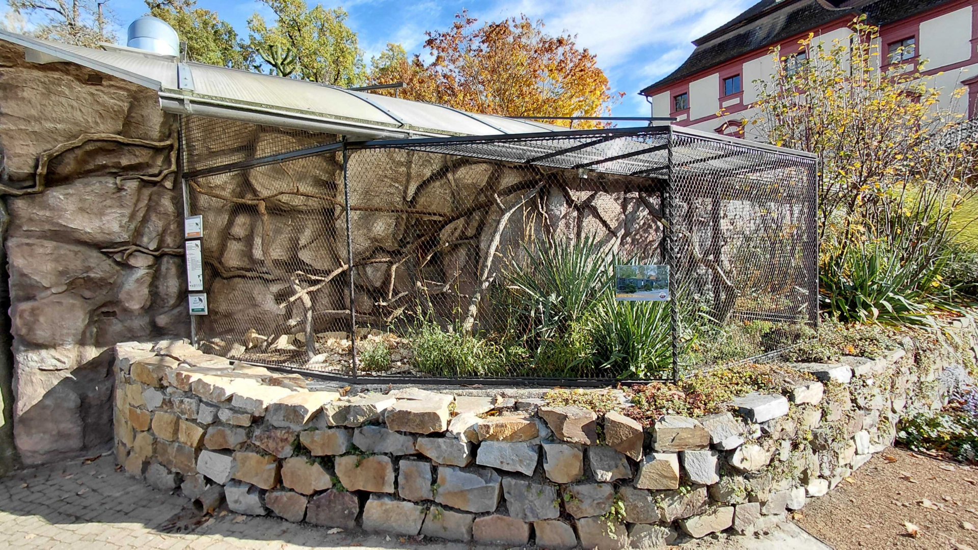 Emperor tamarin outdoor exhibit