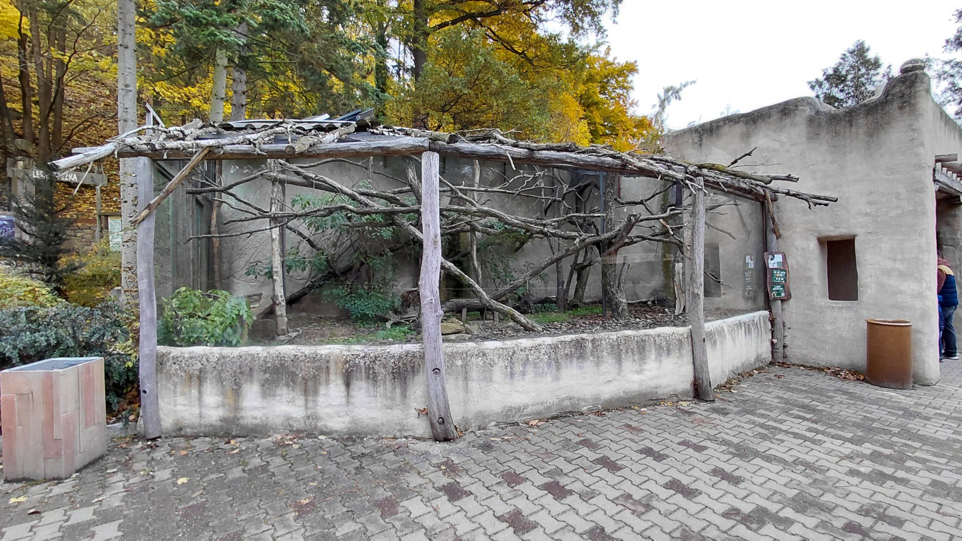 Emperor tamarin outdoor exhibit