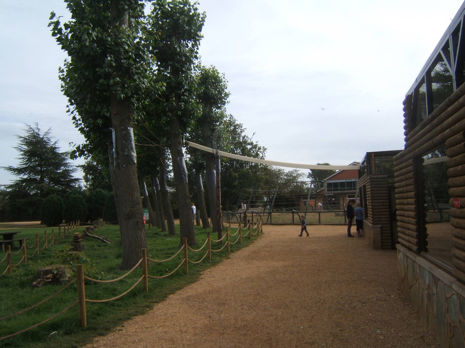 Emperor Tamarin outdoor tree enclosure