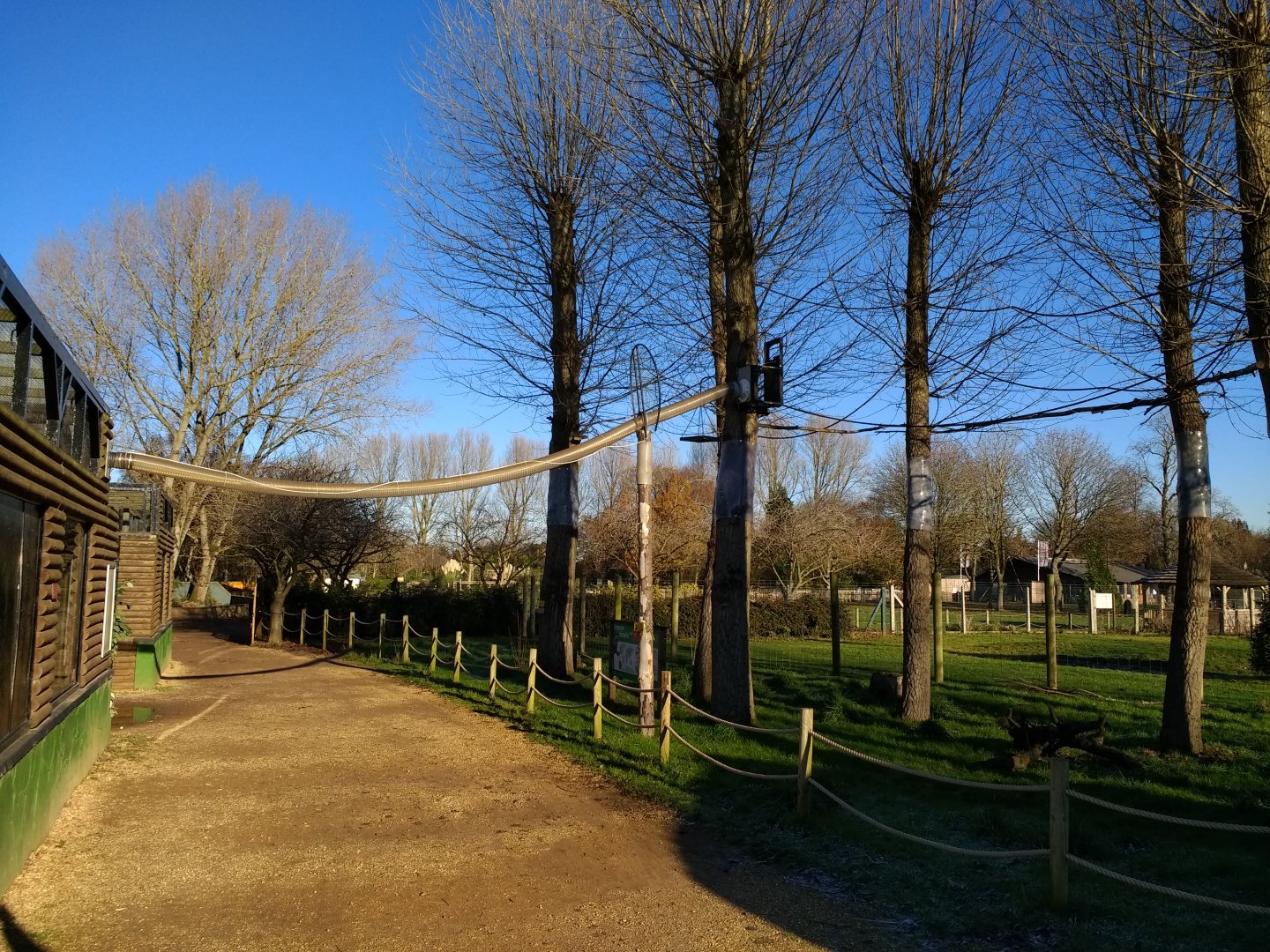 Emperor Tamarin tube to external free range area