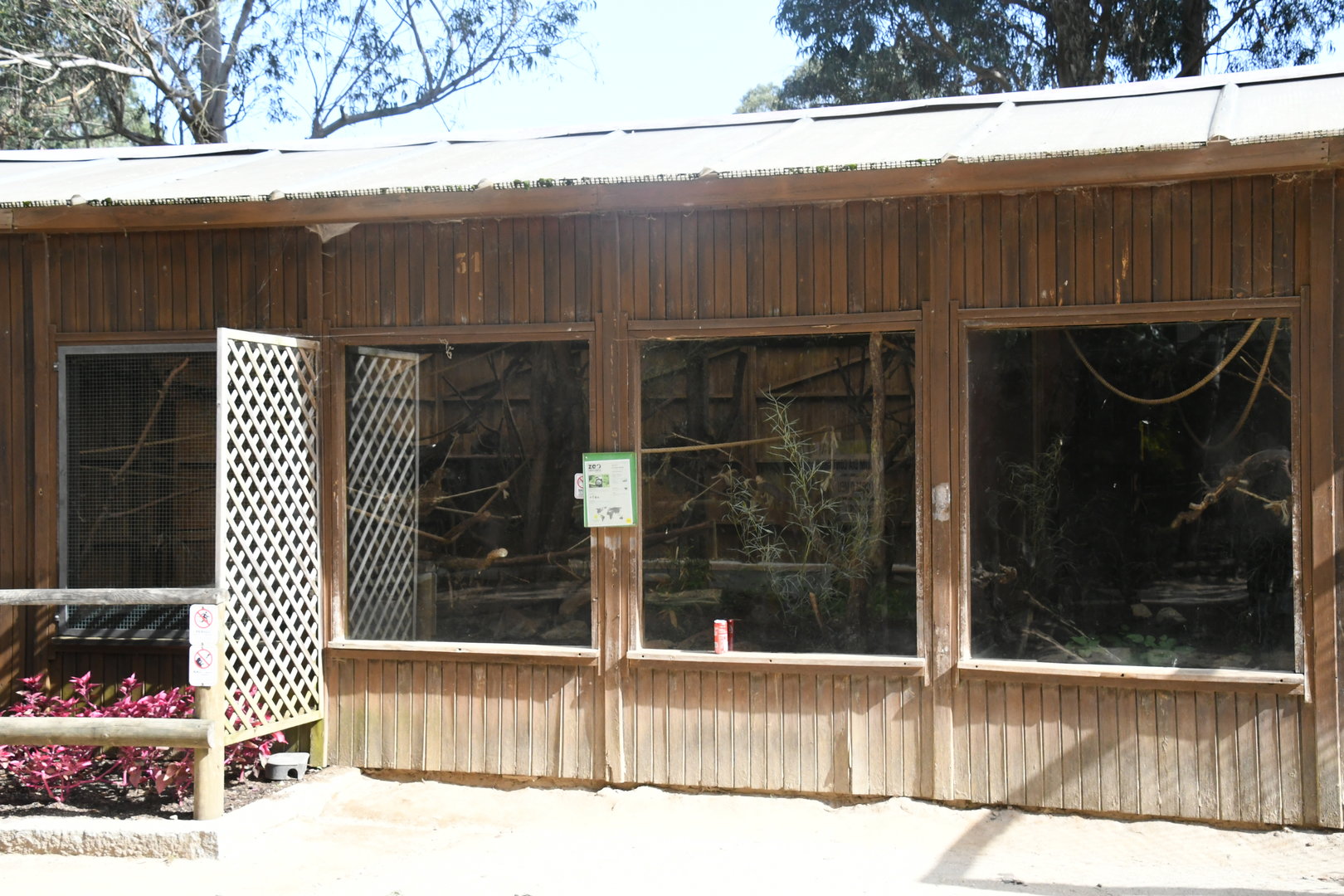 Emperor Tamarins exhibit