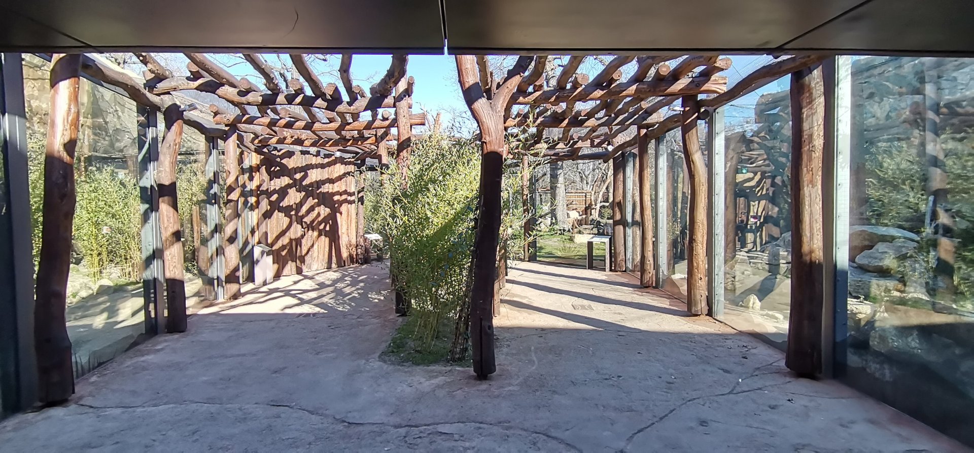 Empire of Cats, entrance to the courtyard - Persian Leopard, Margay and Ring-tailed Vontsira outdoor exhibits