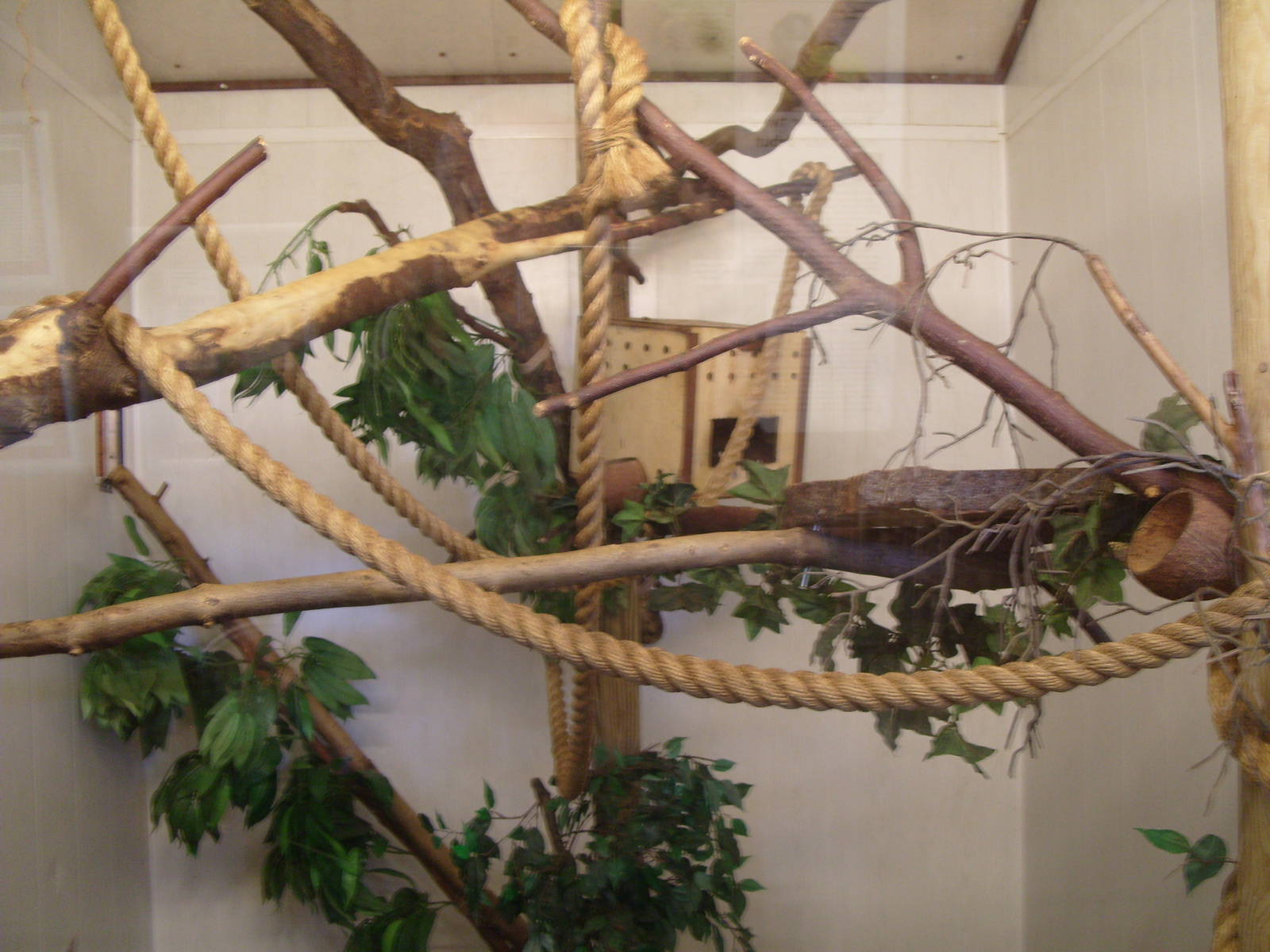 EMPORER TAMARIN INDOOR ENCLOSURE