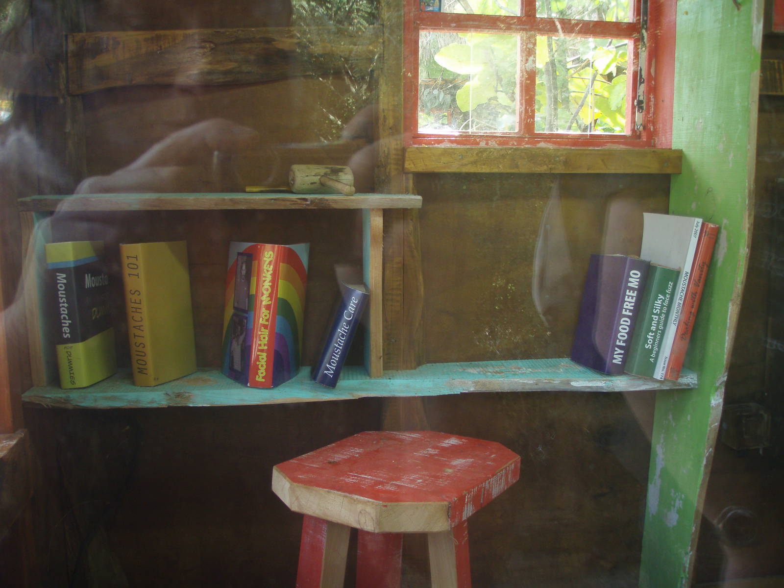 Emporer Tamarin Indoor Exhibit Library, April 2011