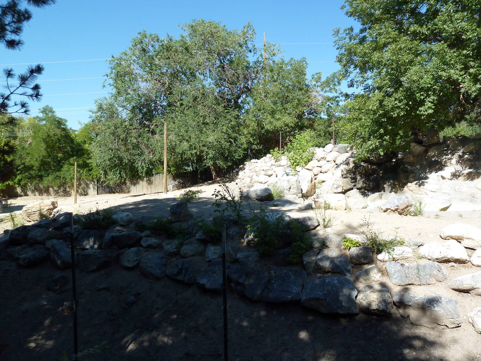 Empty African Savanna