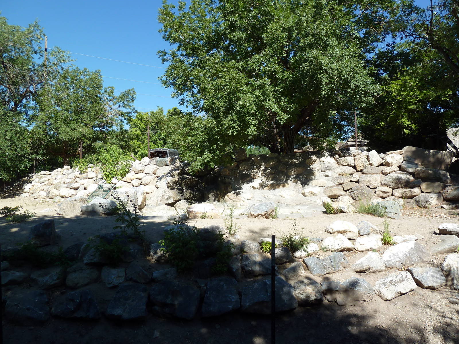 Empty African Savanna