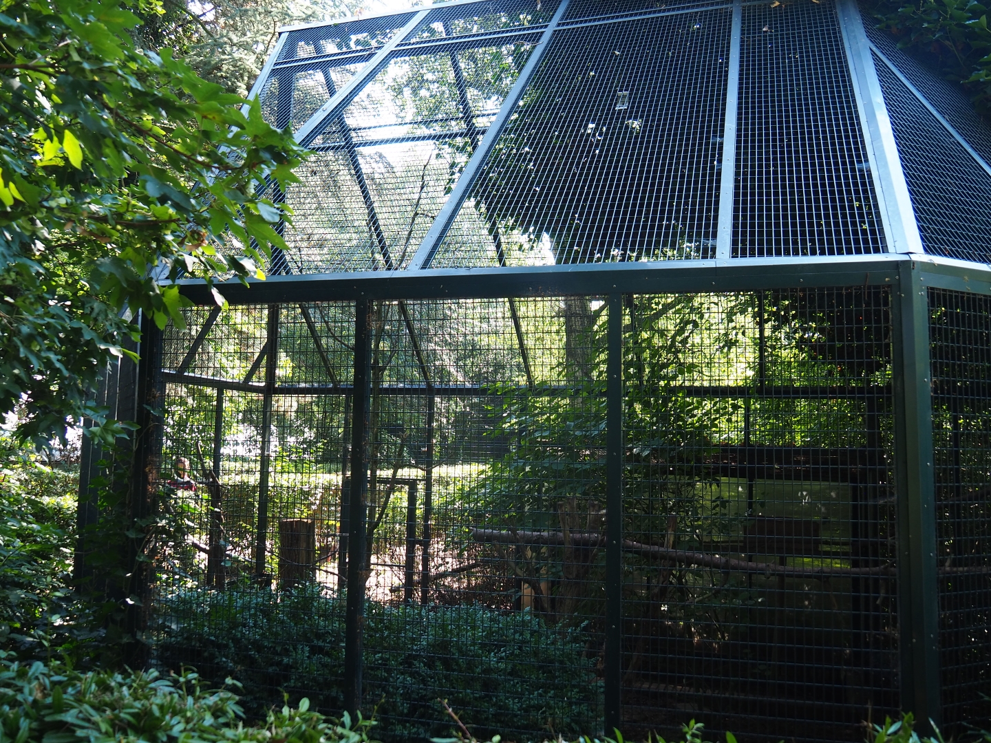 Empty and unsigned aviary (Sep 2nd, 2018)