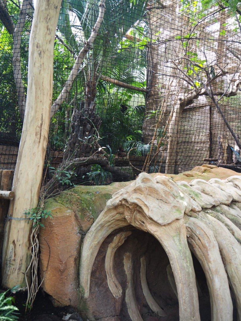 Empty and unsigned aviary, with elephant rib cage theming outside, 2021-09-03
