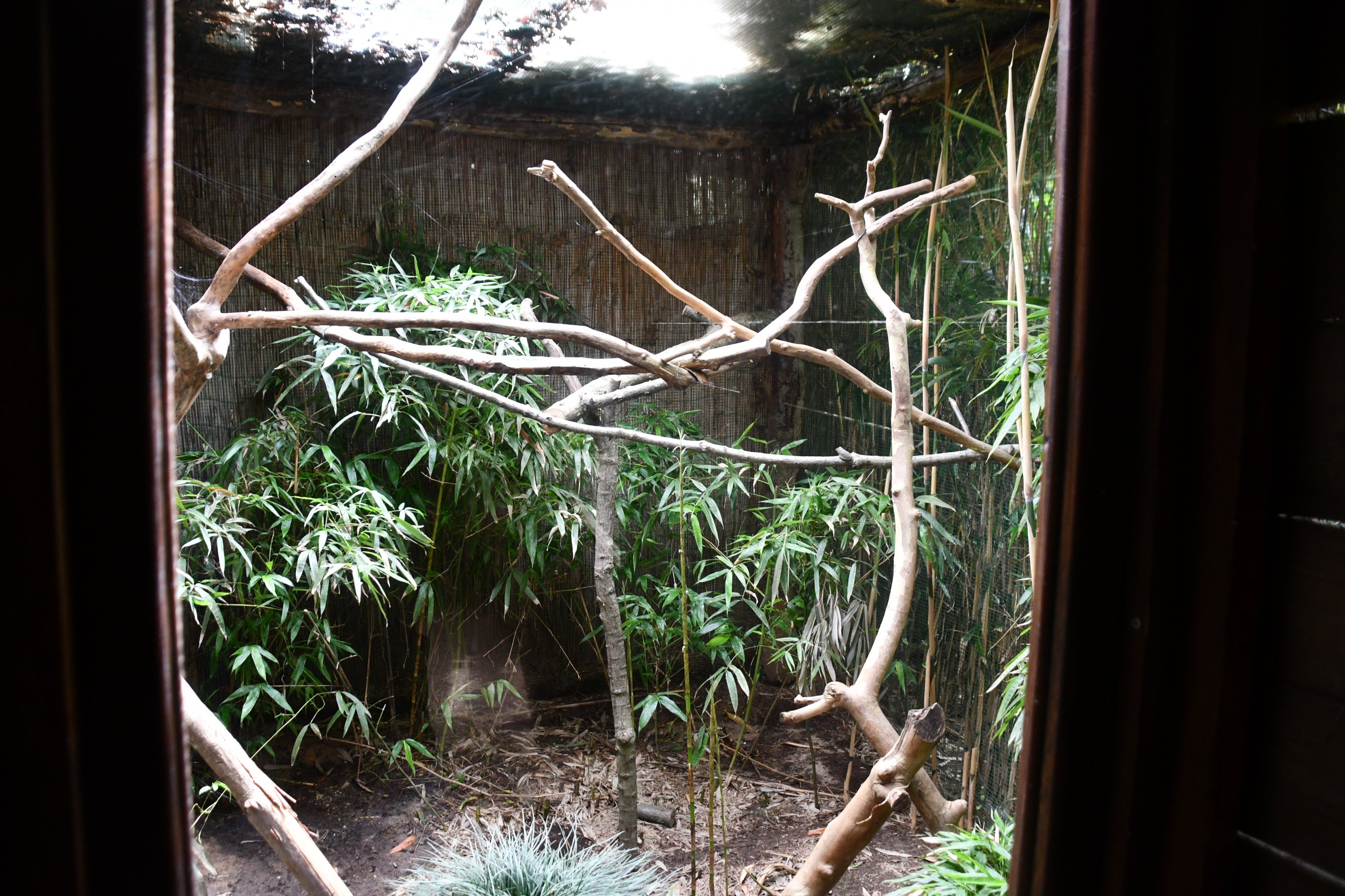 empty and unsigned exhibit (Birds of Paradise section)