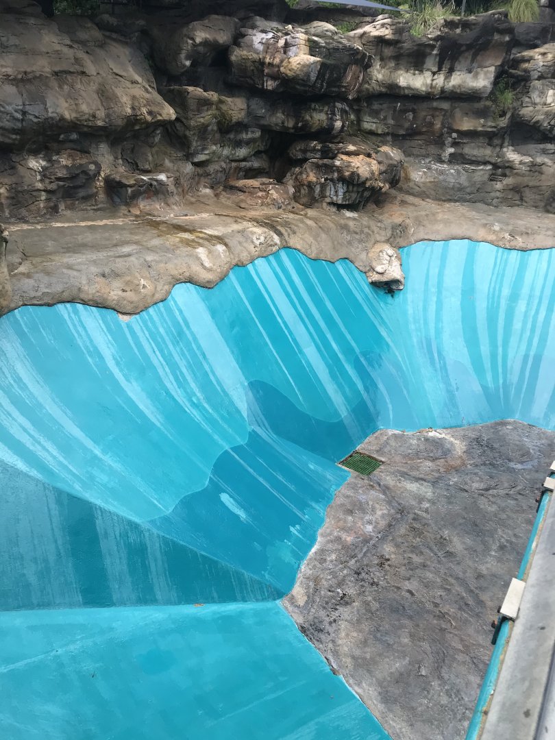 Empty Australian Sea Lion enclosure