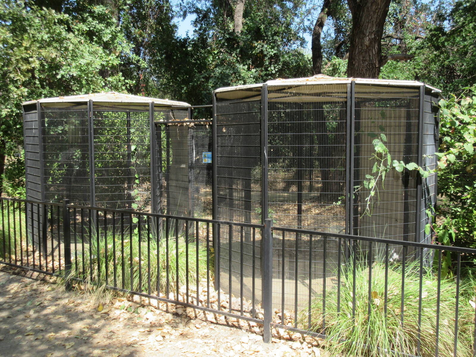 Empty Aviaries