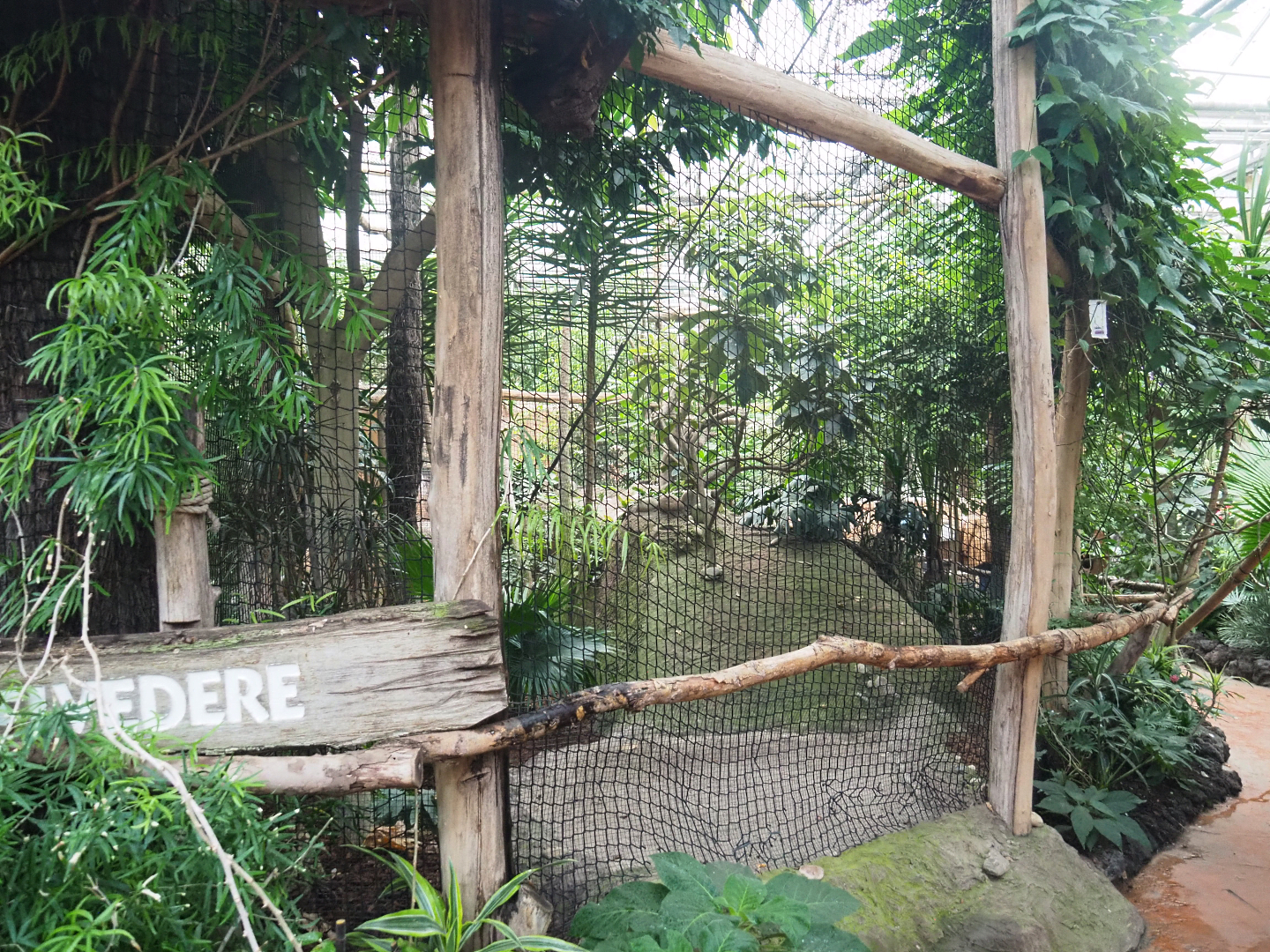Empty aviary, Formerly home to Bulwer's pheasant and Andean cock-of-the-rock, 2022-09-14
