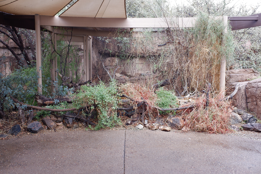 empty aviary in Mountain Woodlands