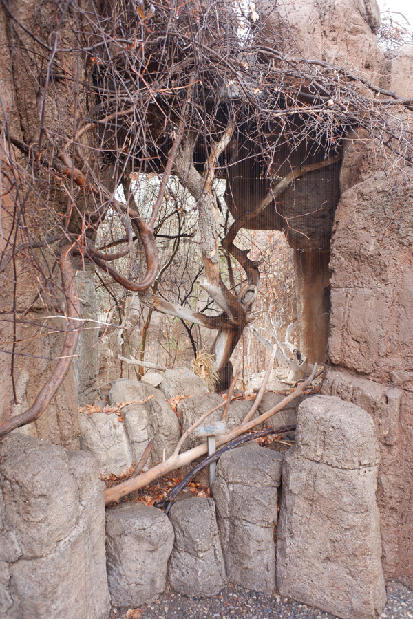 empty aviary in Mountain Woodlands