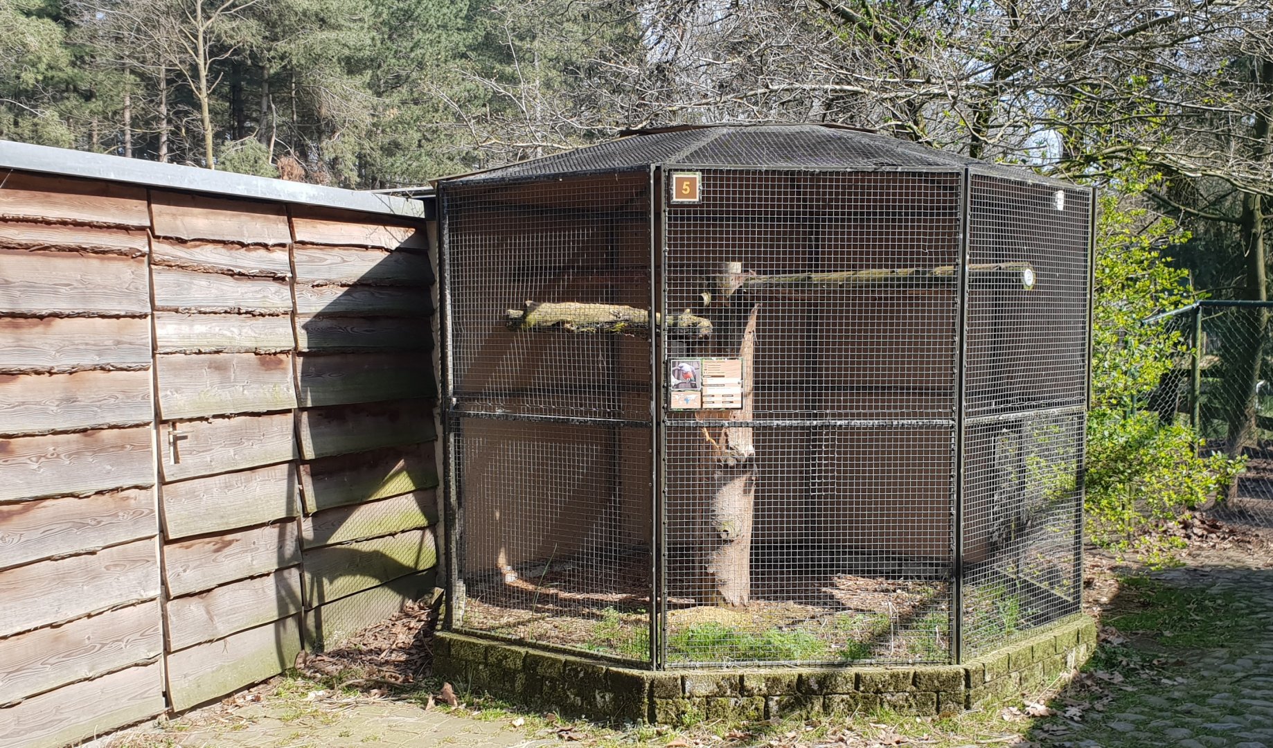 Empty aviary ( was Red-bellied parrot )