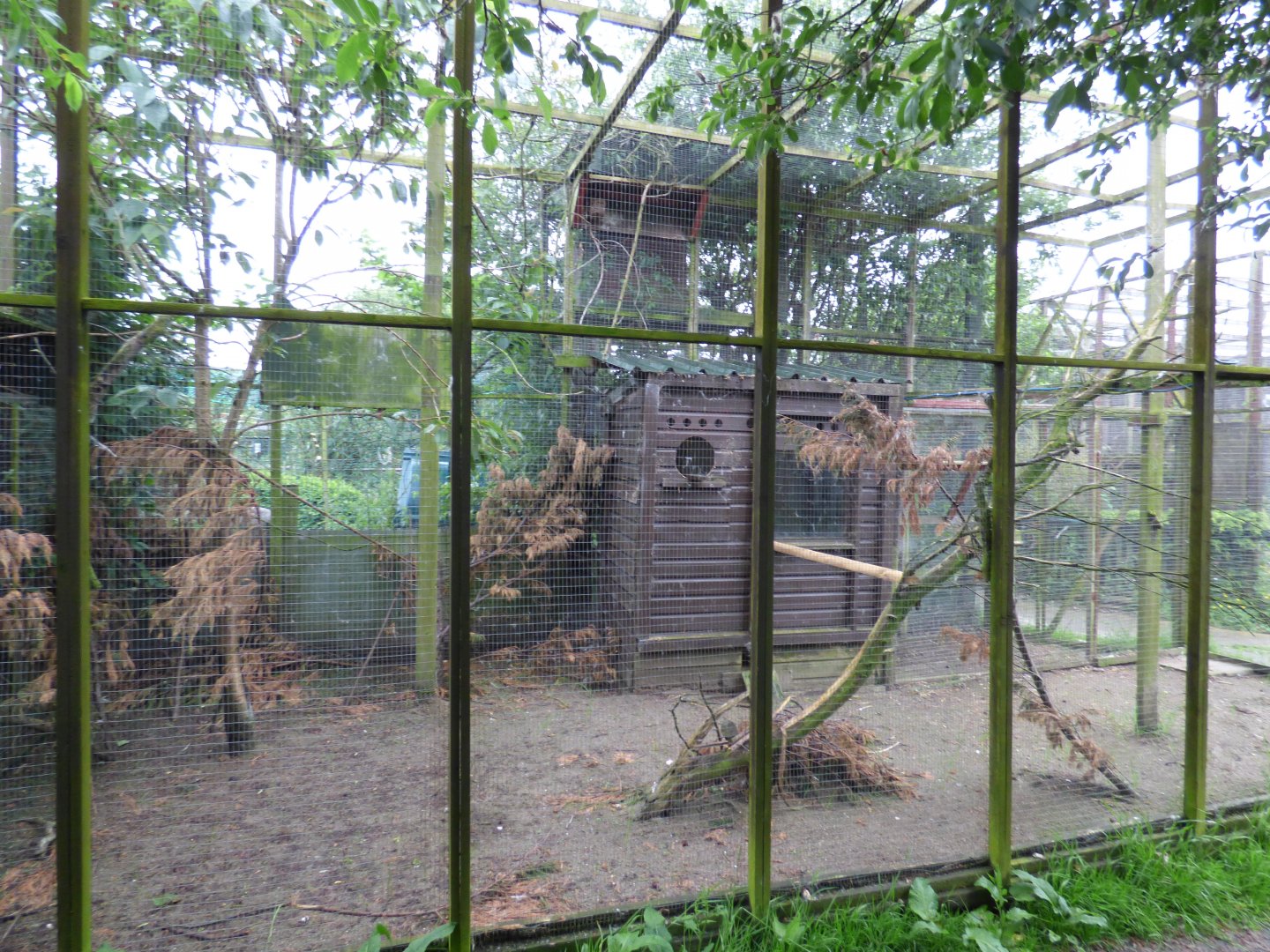 Empty Aviary