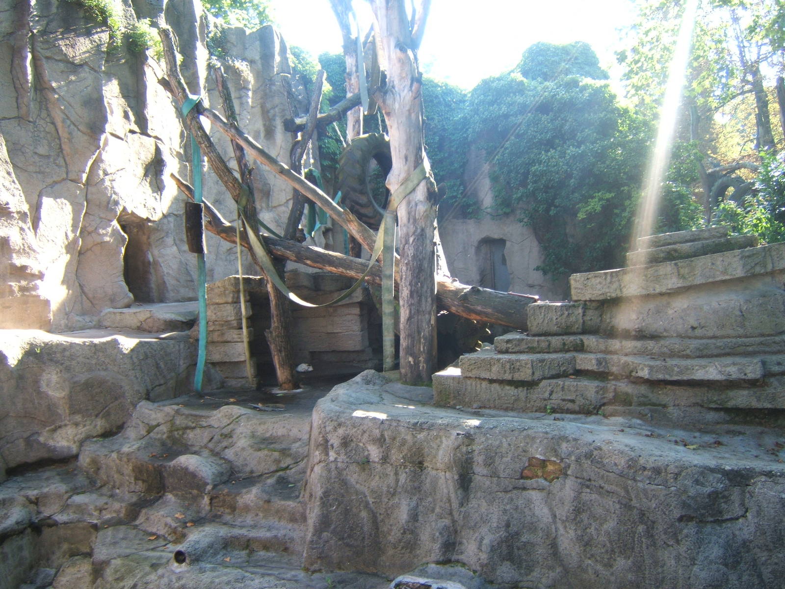 Empty Bear enclosure