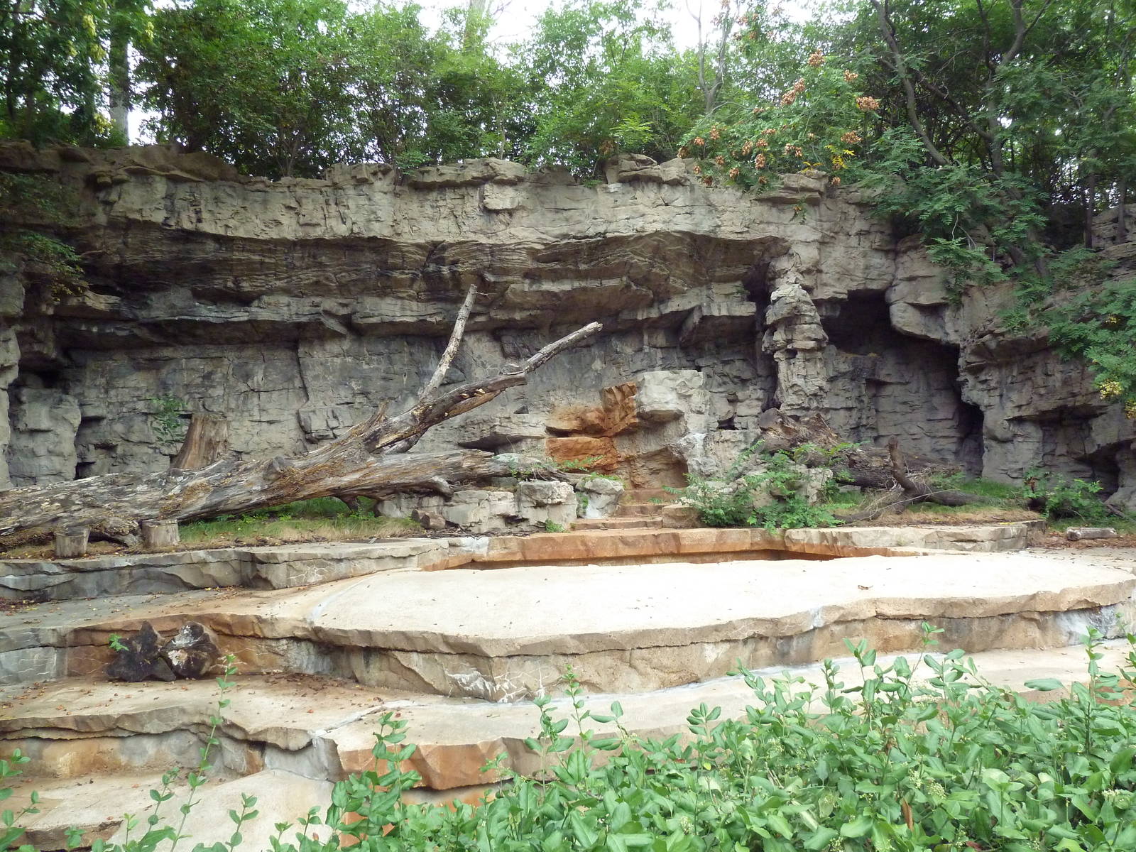 Empty Bear Grotto - Future Grizzly Ridge