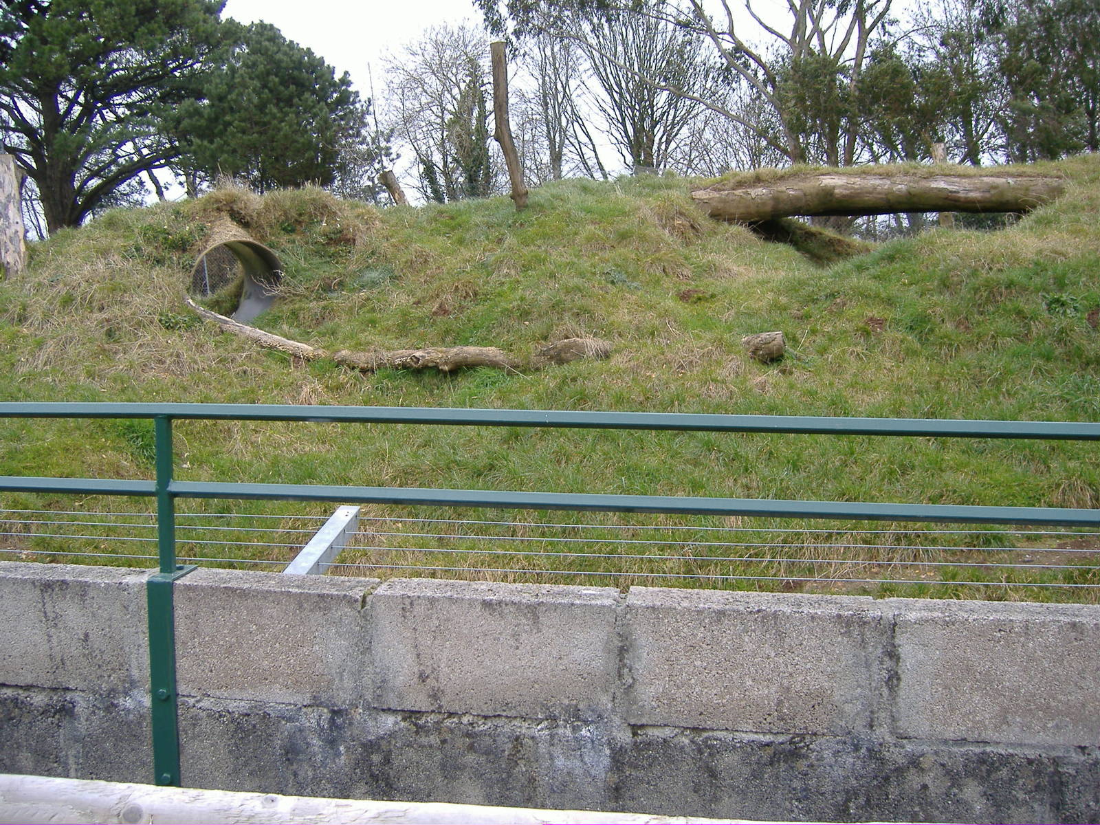 empty big cat enclosure dartmoor