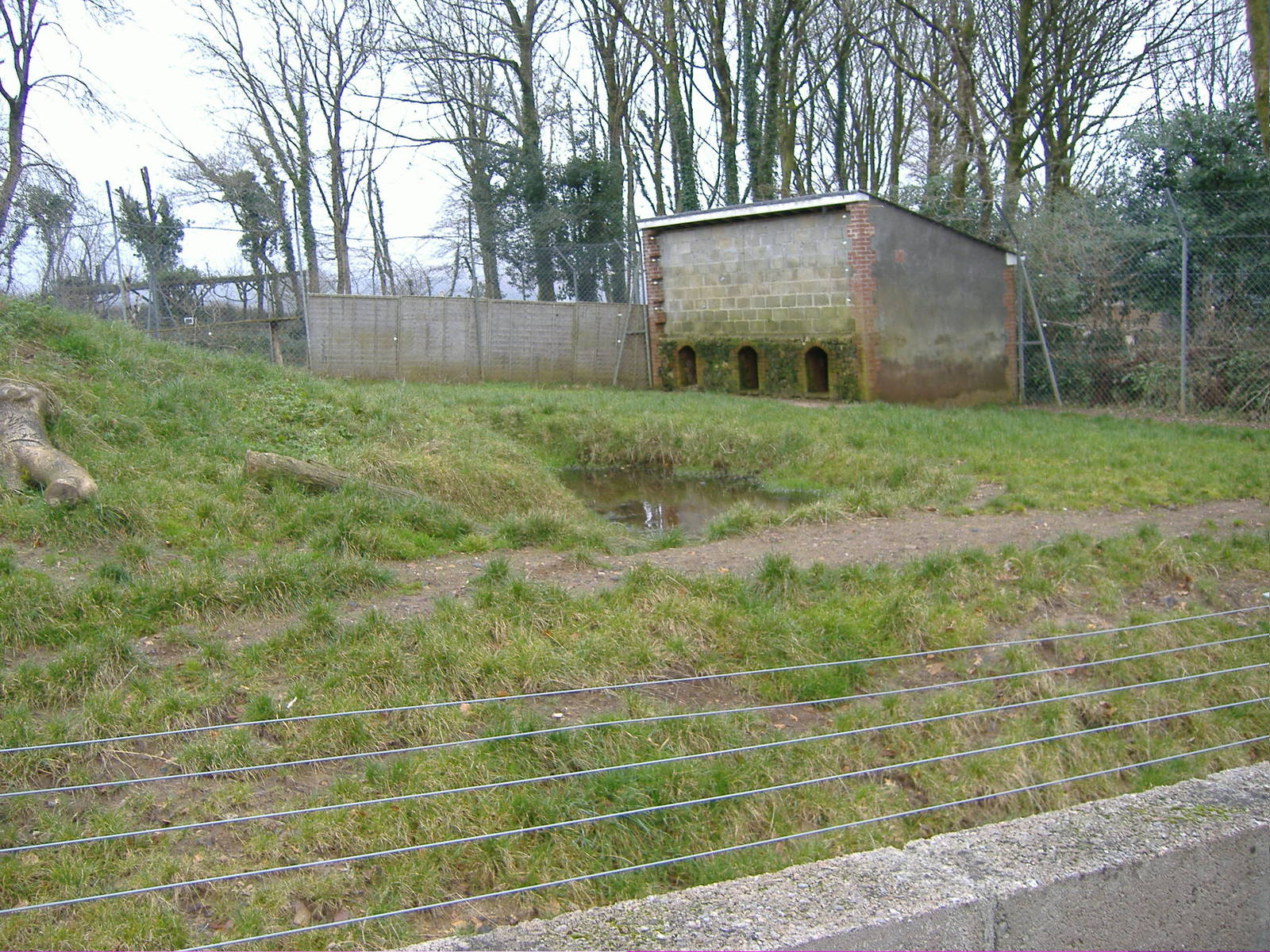 empty big cat enclosure dartmoor