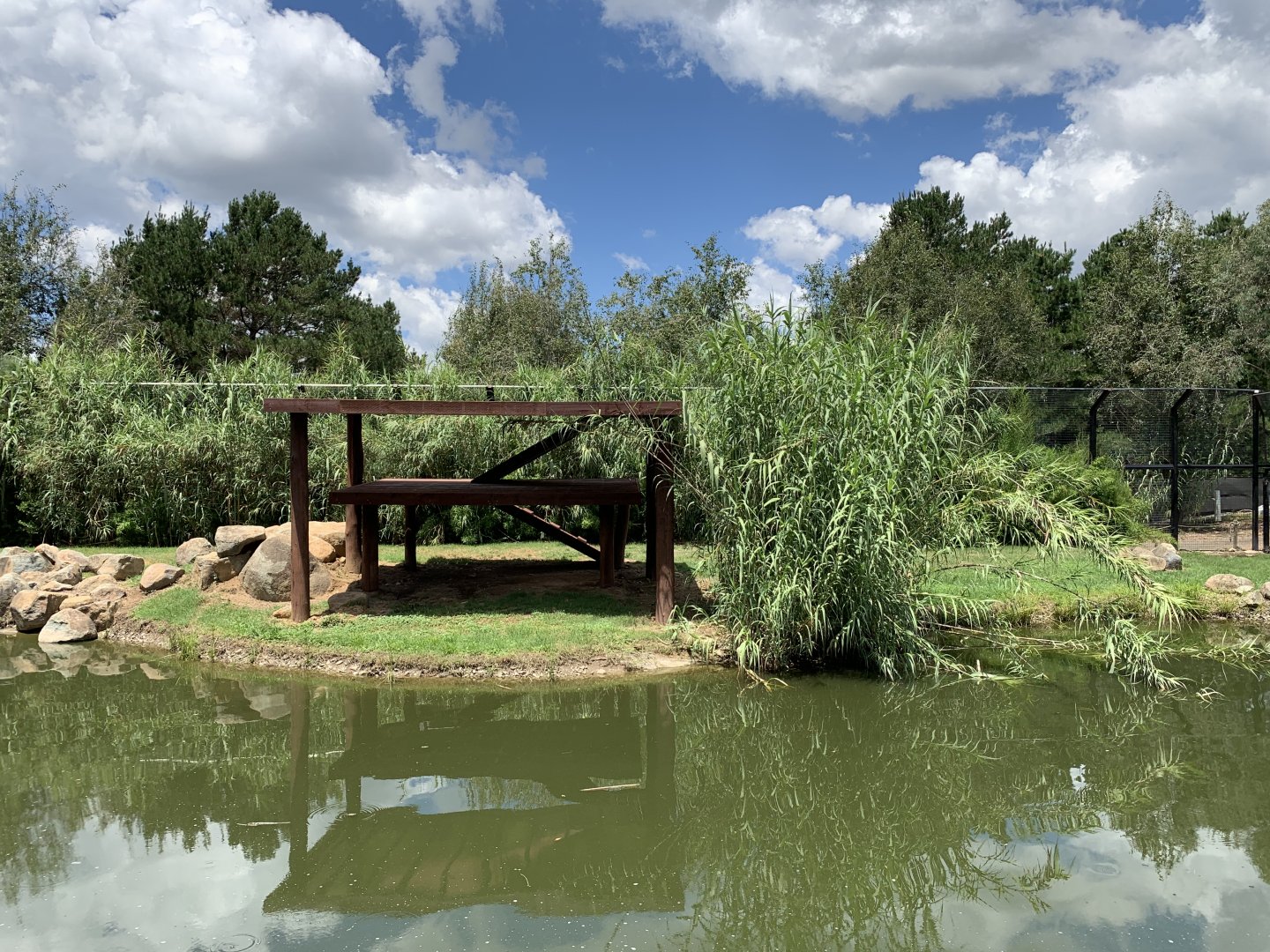 Empty Big Cat Enclosure