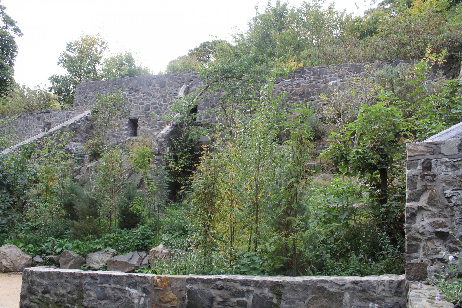 Empty Big Cat Rows Edinburgh Zoo