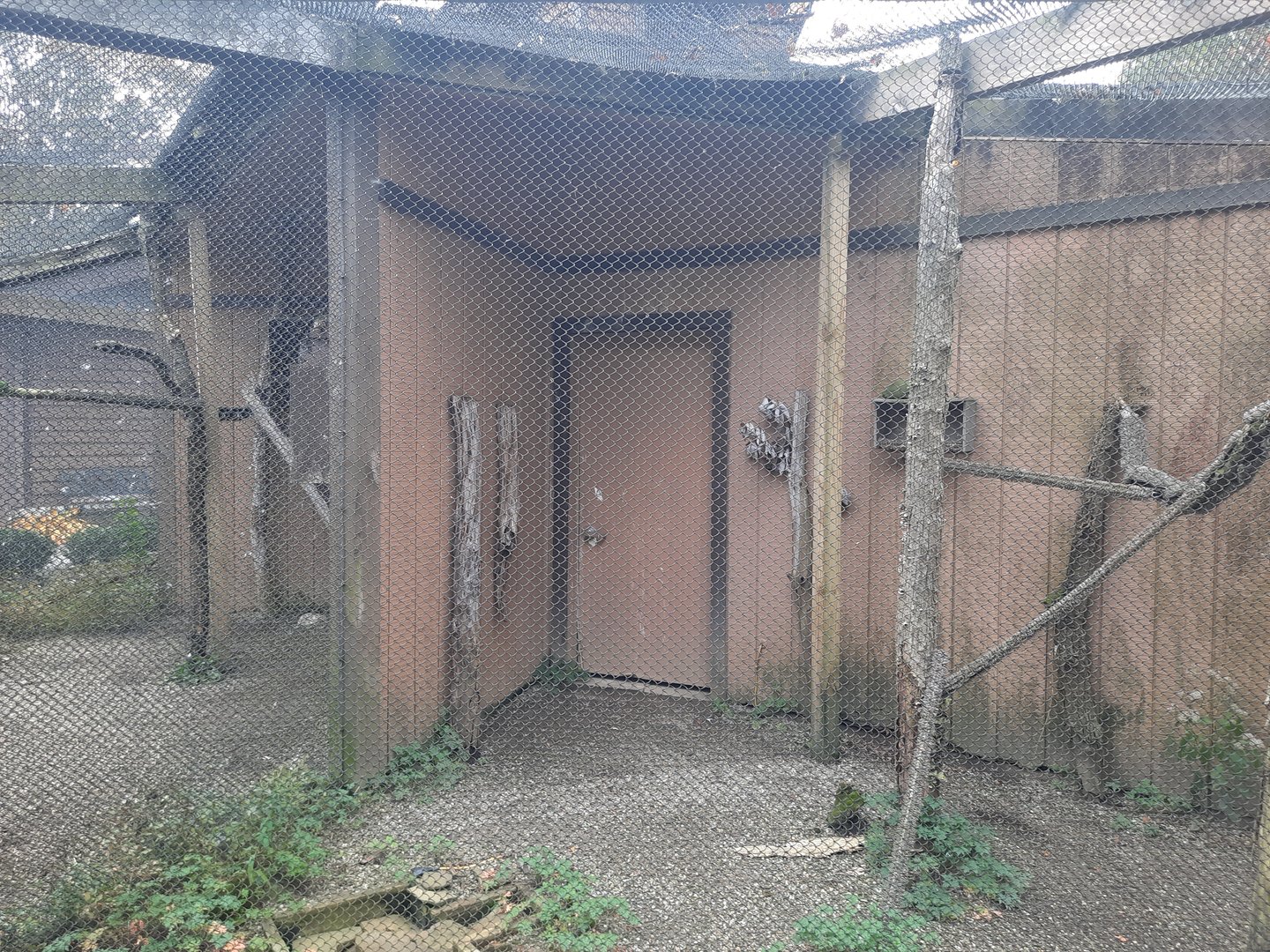 Empty Bird Exhibit