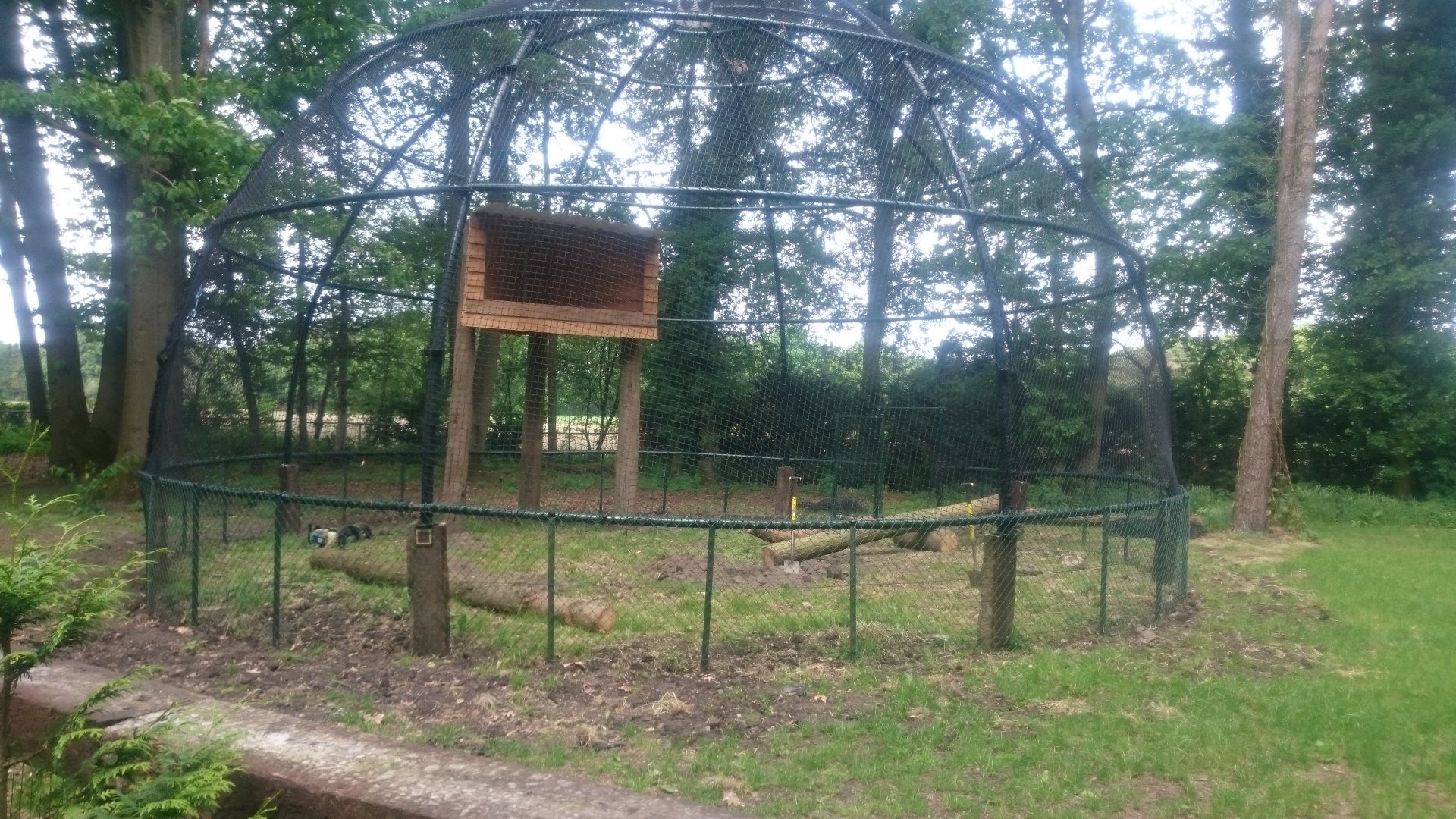Empty Bird-of-prey Aviary