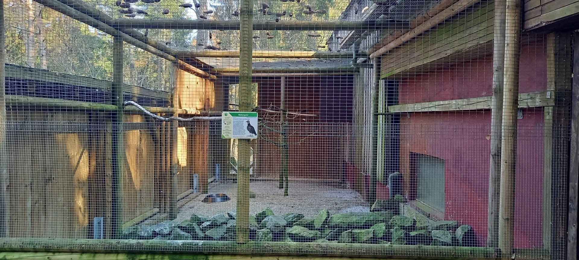Empty Black vulture aviary