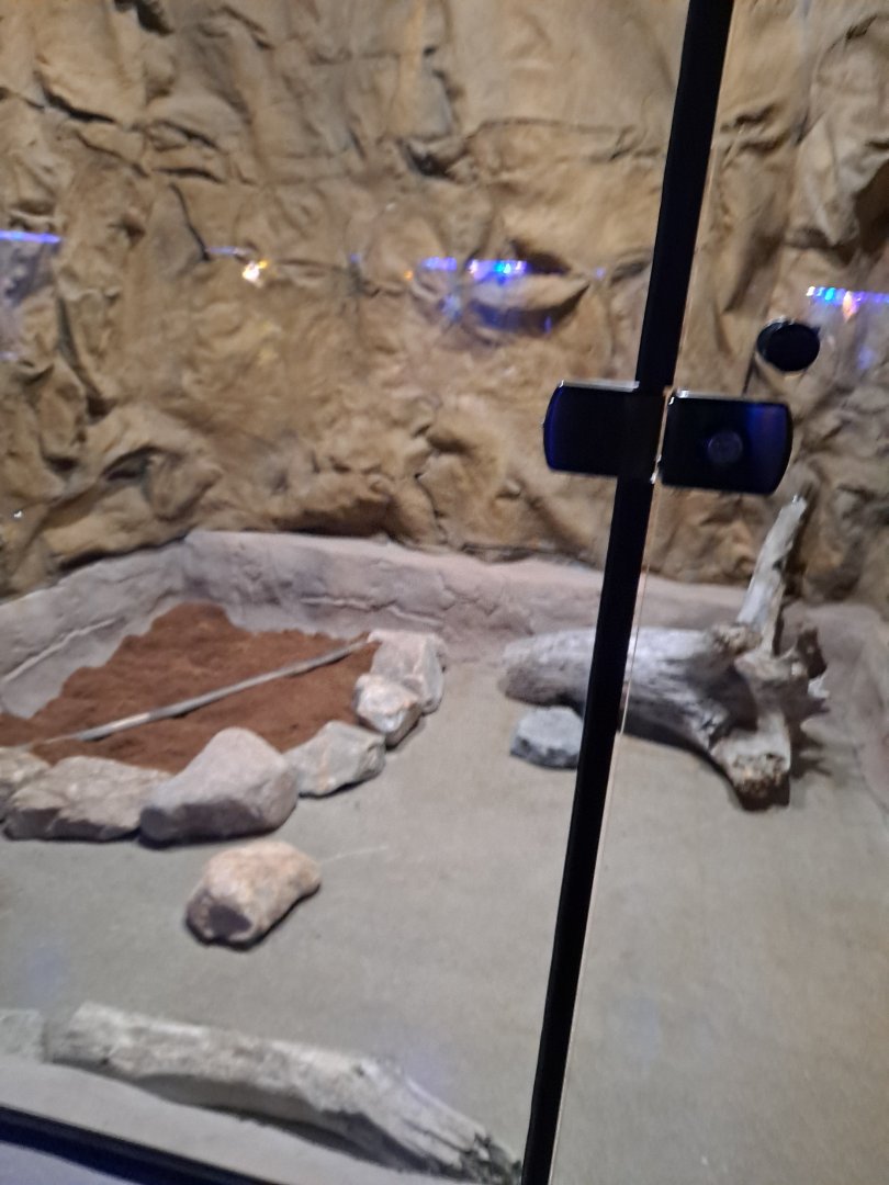 Empty "blank slate" future mammal exhibit (4/19/25)