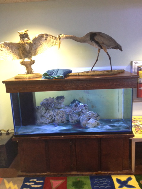 Empty Brackish water tank