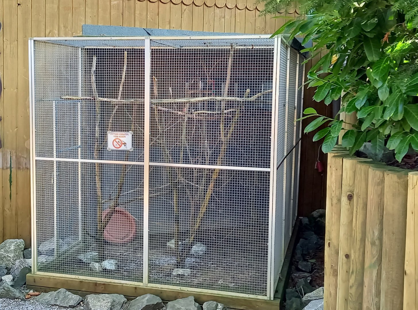 Empty cage next to the Parrot-jungle
