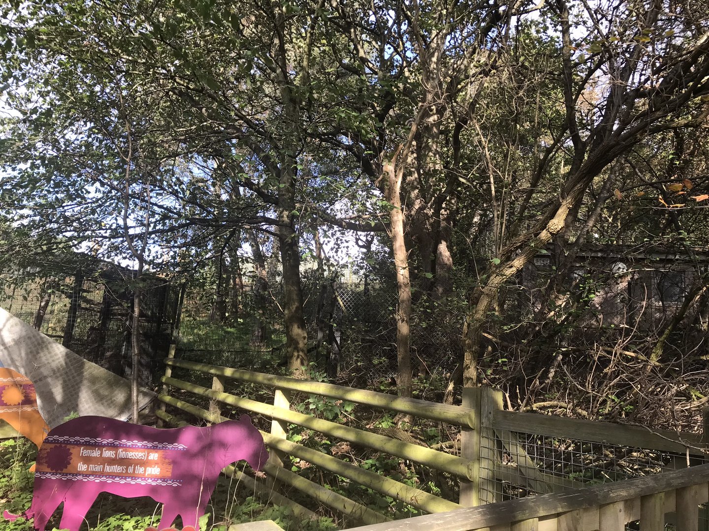 Empty cage (zoom in)